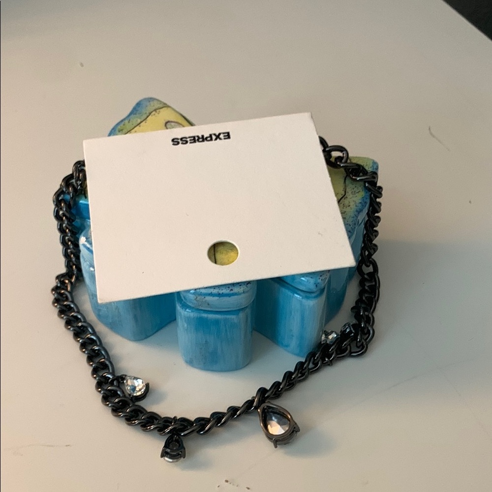 Express Black Classic Necklace
